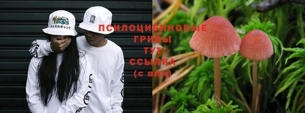 кокаин колумбия Алексин