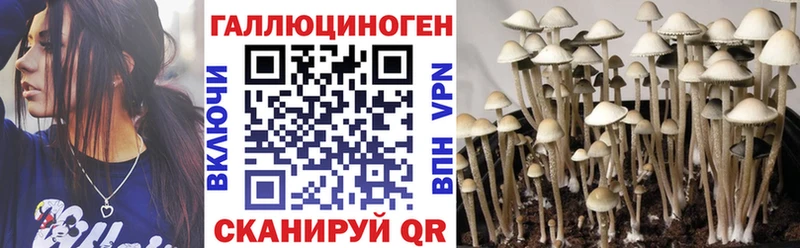 наркошоп  Фролово  Псилоцибиновые грибы мицелий 